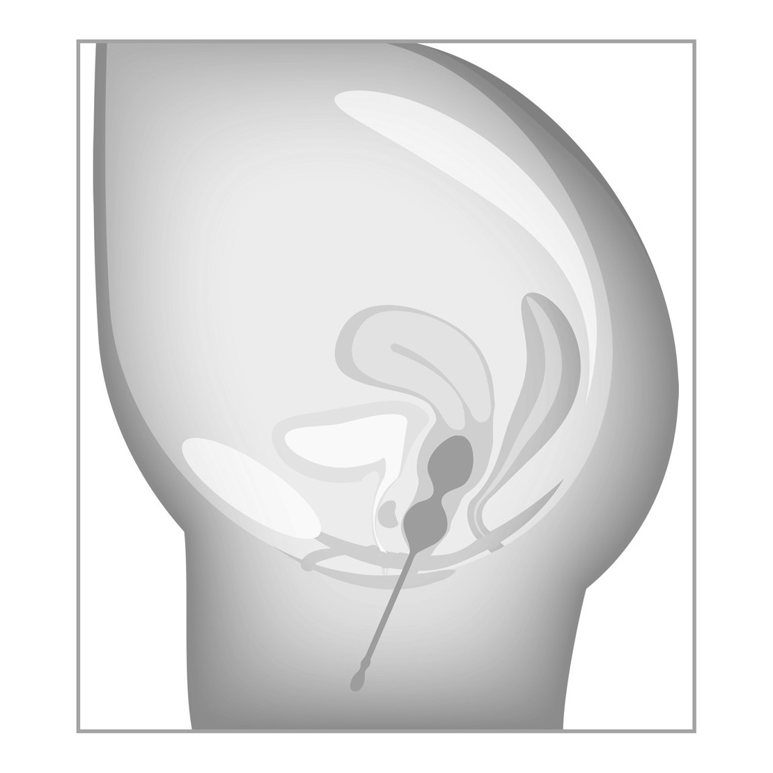 copy of SET DI 3 PALLINE VAGINALI