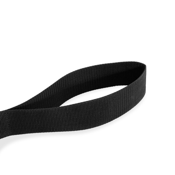 copy of ALTALENA