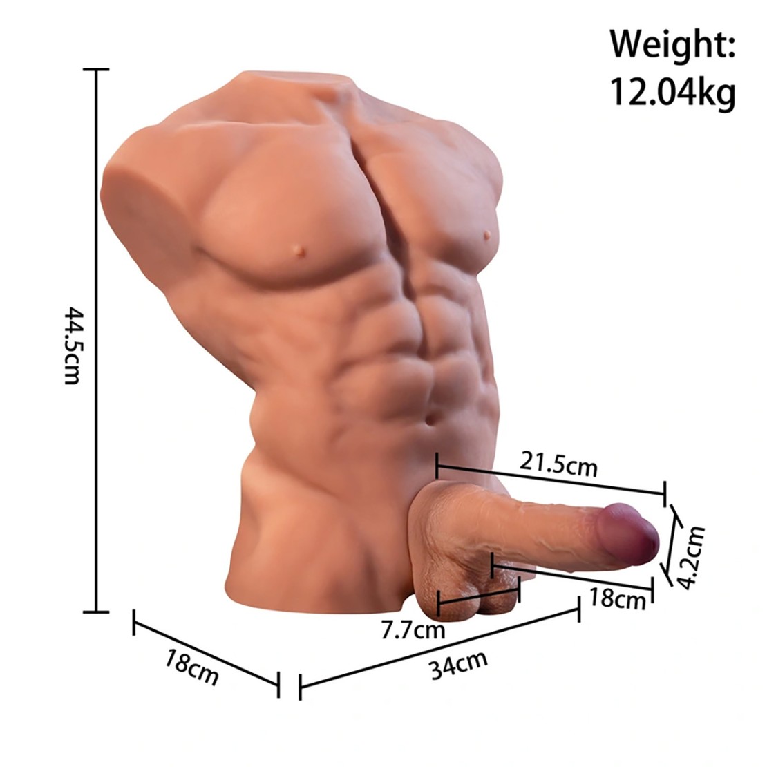 FITTER TORSO DI UOMO CON FALLO SU E GIÙ E...