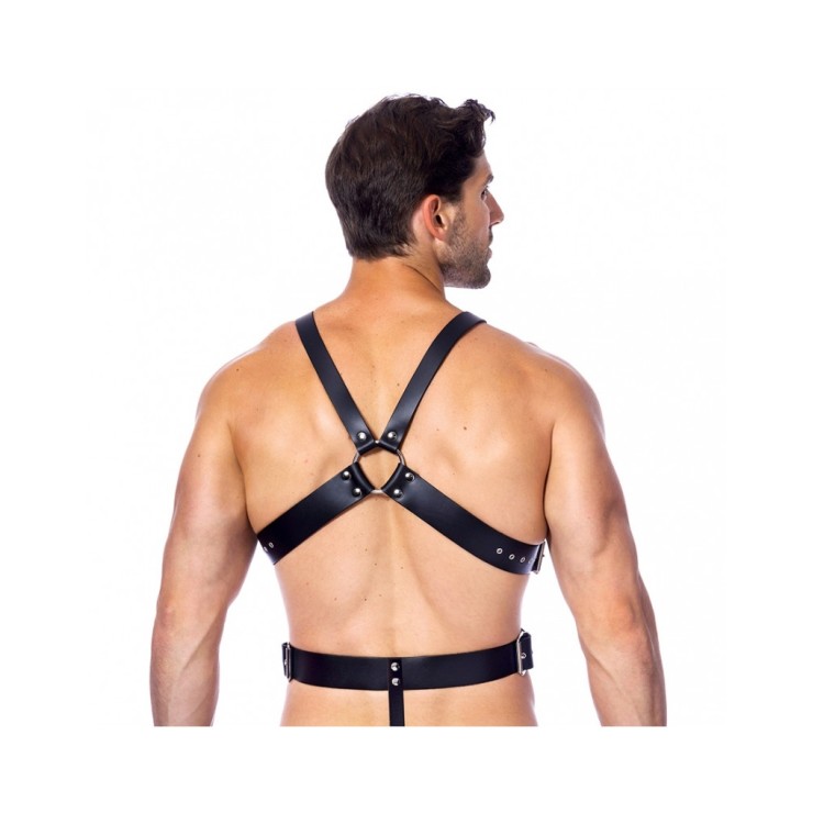 HARNESS IN PELLE CON DUE RING 2