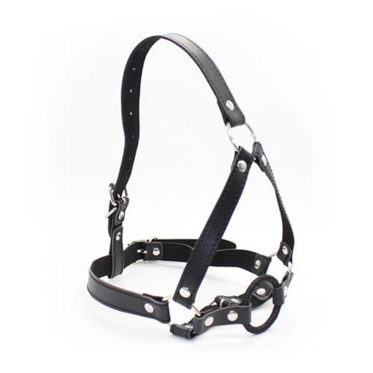 COSTRITTIVO APRIBOCCA CON IMBRACATURA HARNESS RING GAG 2