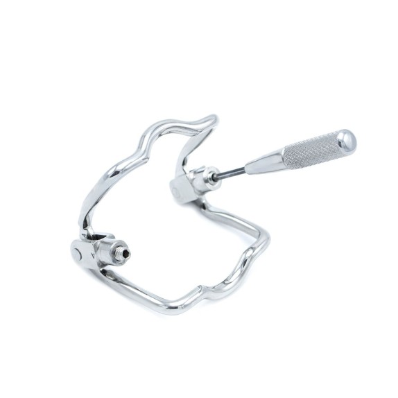 copy of COSTRITTIVO APRIBOCCA IN ACCIAIO INOSSIDABILE STEEL JAW LOCK