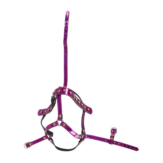 copy of HARNESS REGOLABILE DA TESTA IRIDESCENTE CON STRASS BAD KITTY