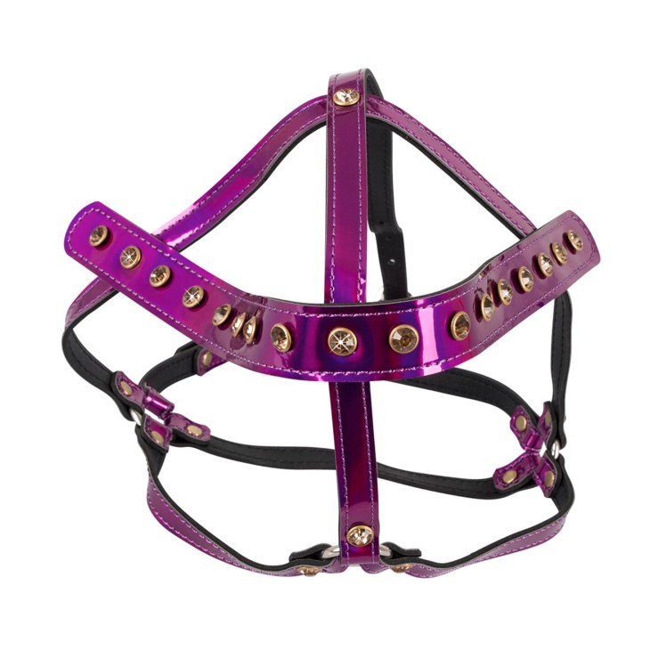 COSTRITTIVO HARNESS REGOLABILE DA TESTA IRIDESCENTE CON... 2