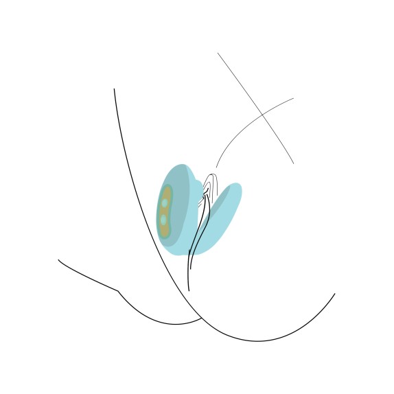 copy of VIBRATORE PER
