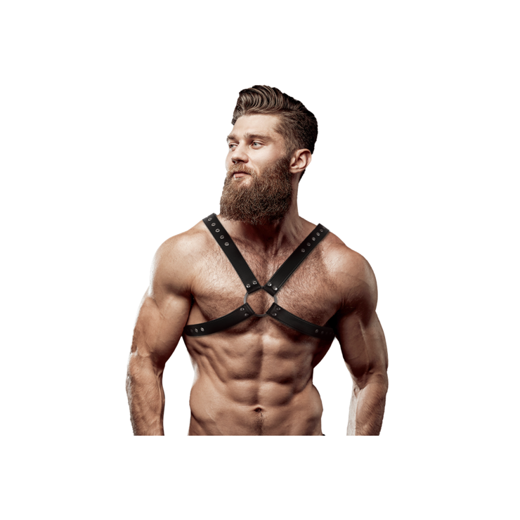 copy of HARNESS UOMO 2