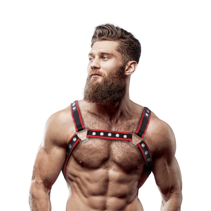 HARNESS SEXY PER UOMO