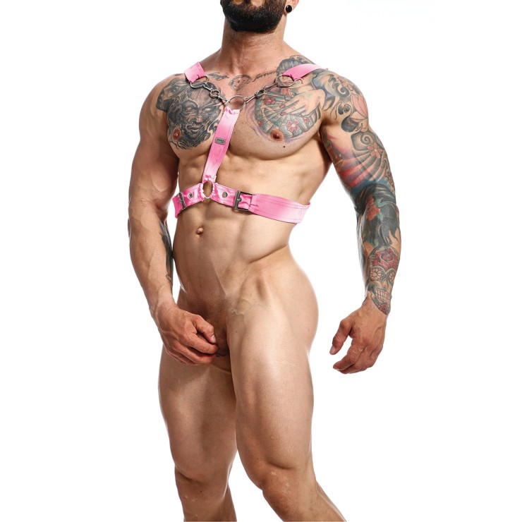 HARNESS