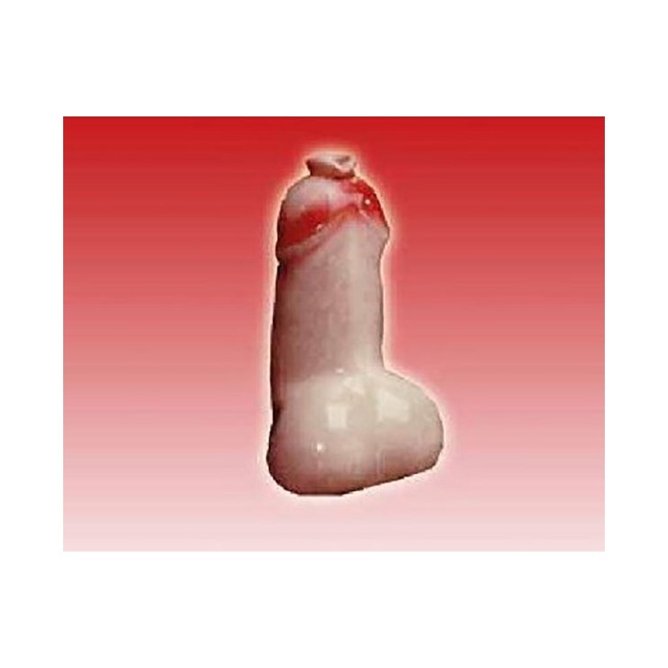 BOCCALE IN CERAMICA A FORMA DI GRANDE PENE GADGET