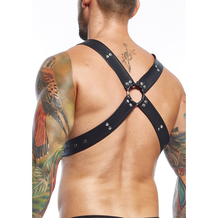 copy of HARNESS 2