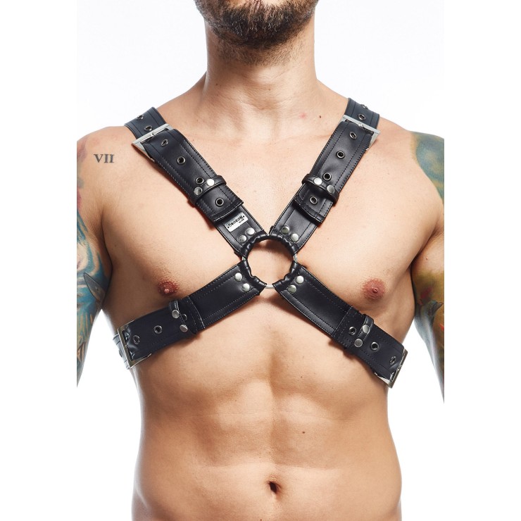 copy of HARNESS