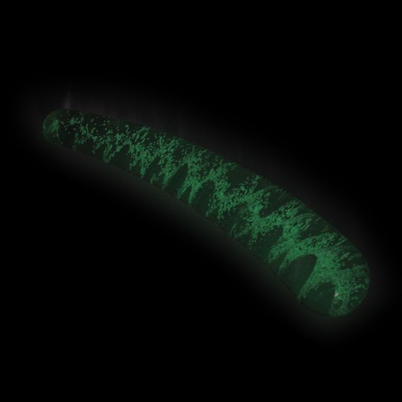 DILDO LISCIO CURVO IN VETRO SEX TOY GLOW IN THE DARK