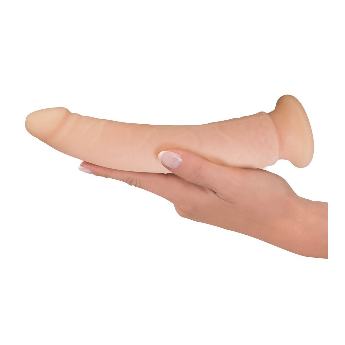 FALLO REALISTICO CON VENTOSA ALLA BASE 24 CM