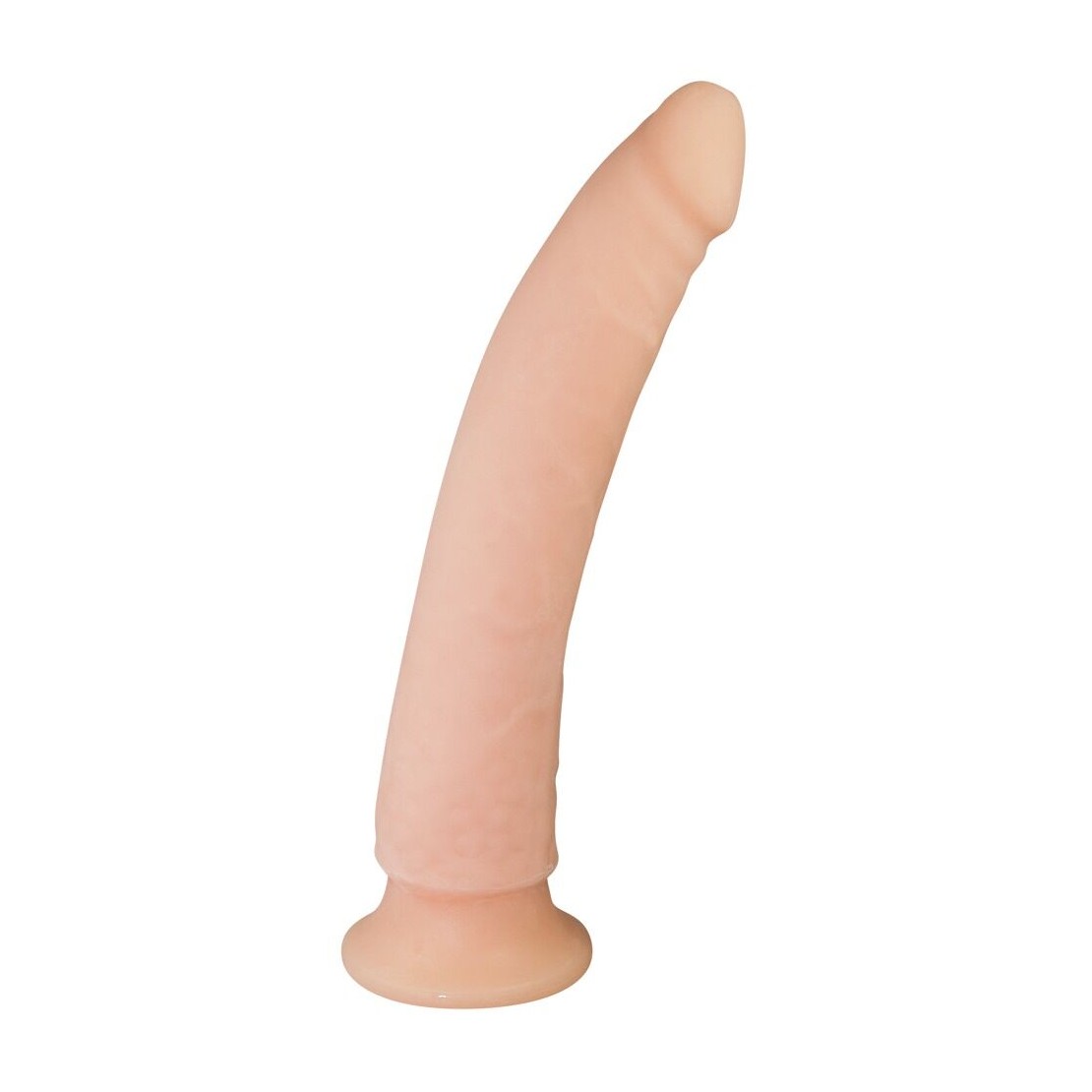 FALLO REALISTICO CON VENTOSA ALLA BASE 24 CM