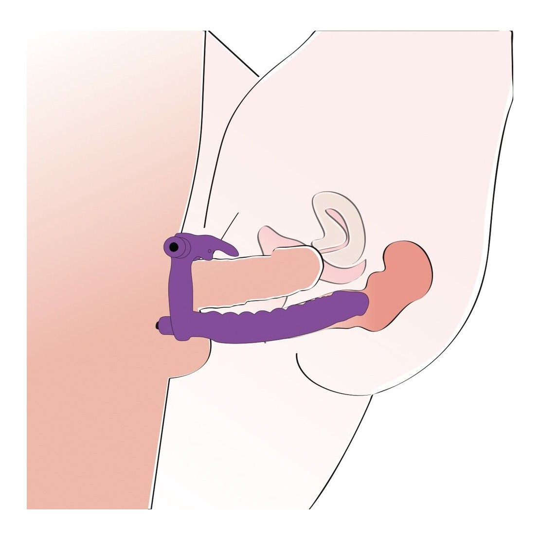 LOS ANALOS DILDO ANALE INDOSSABILE CON...