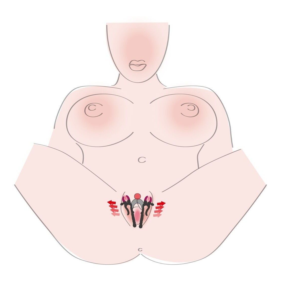 DUE PINZE CHE APRONO LE  LABBRA VAGINALI...