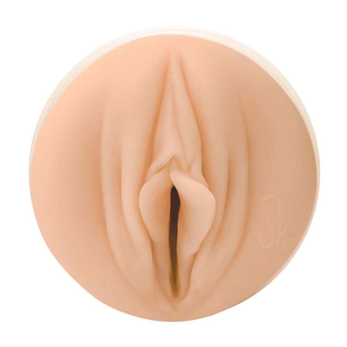 copy of FLESHLIGHT SKY BRI MASTURBATORE A...