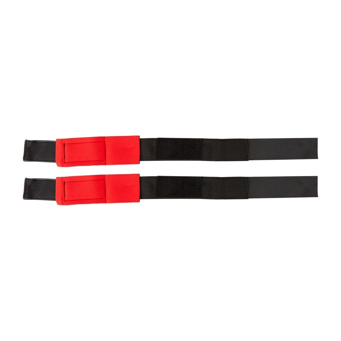 MANETTE COSCIA