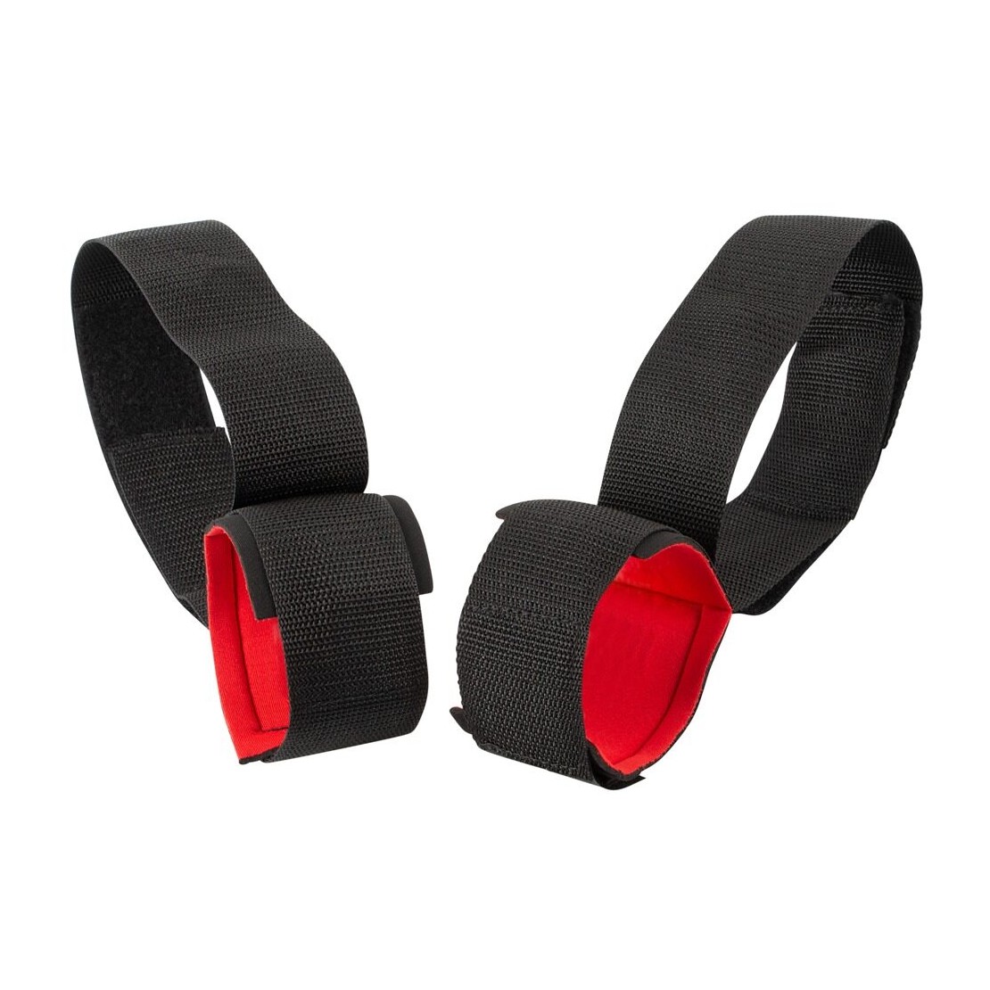 MANETTE COSCIA
