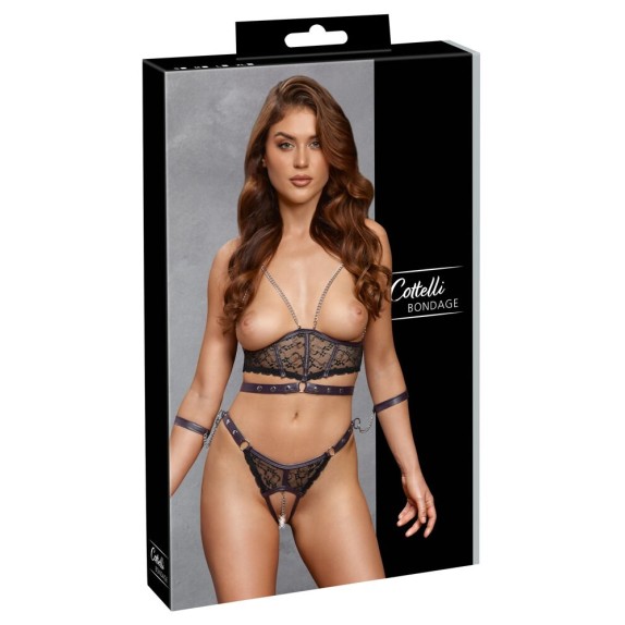 copy of COMPLETO HARNESS