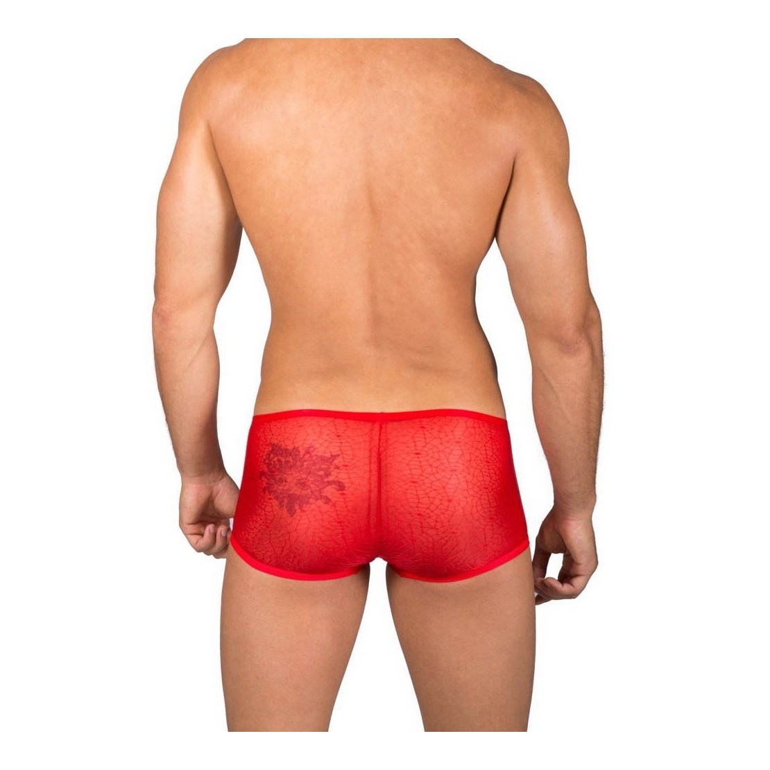 copy of BOXER SEXY PER UOMO IN TULLE EFFETTO...