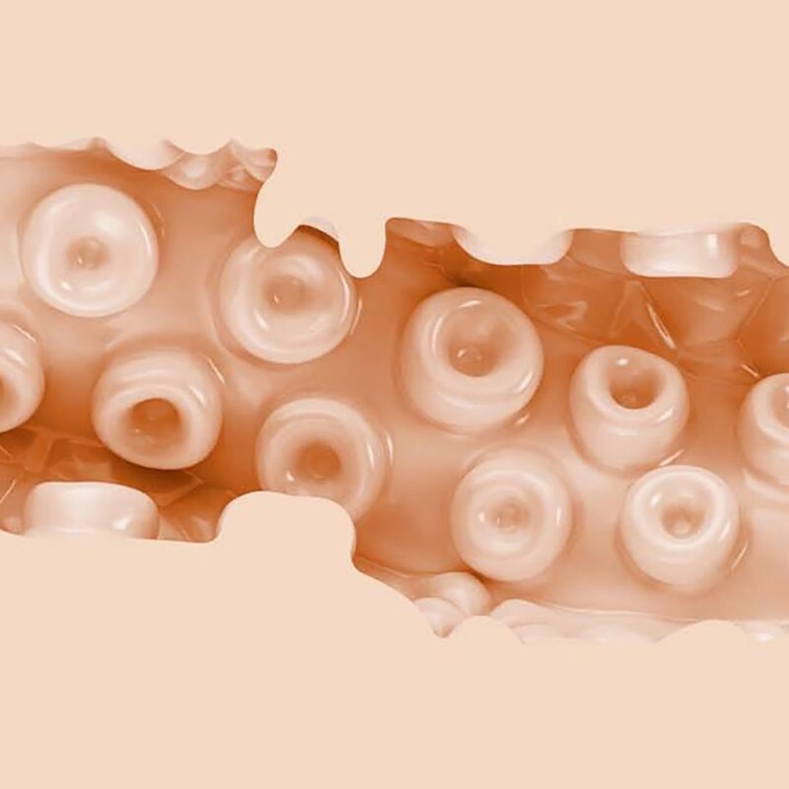 SASHA NAKAMOTO FANTASY FLESHLIGHT A FORMA DI...