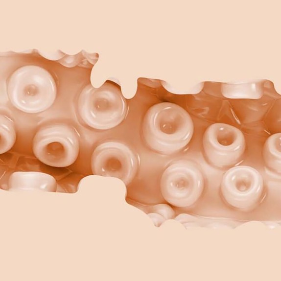 SASHA NAKAMOTO FANTASY FLESHLIGHT A FORMA DI VAGINA
