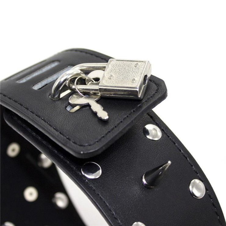 COLLARE CON BORCHIE SPIKES IN ECOPELLE CON GIUINZAGLIO E... 2