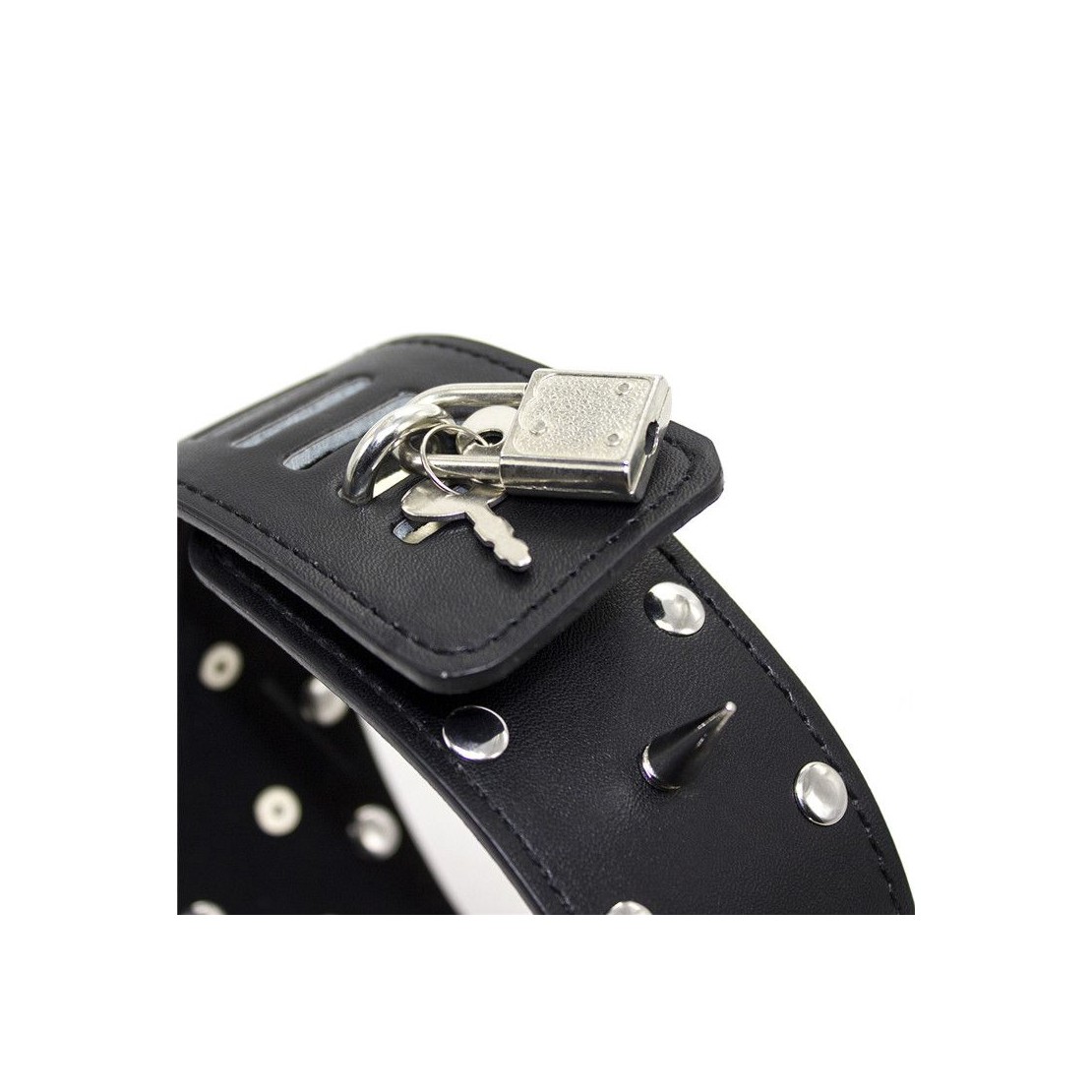 COLLARE CON BORCHIE SPIKES IN ECOPELLE CON...