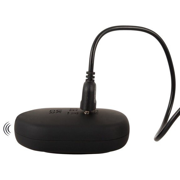 PLUG ANALE VIBRANTE CON MOVIMENTO SU E GIU' CON TELECOMANDO RICARICABILE