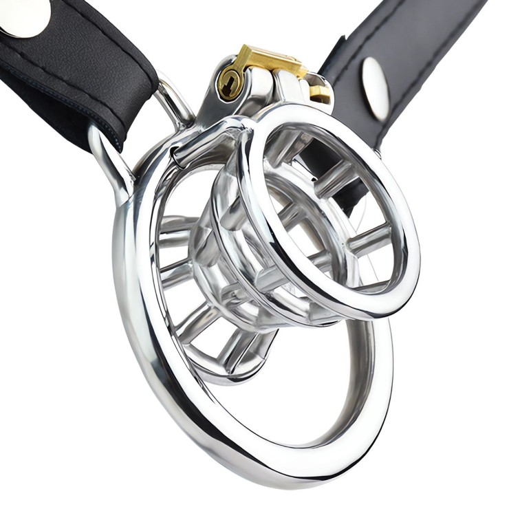 CINTURA