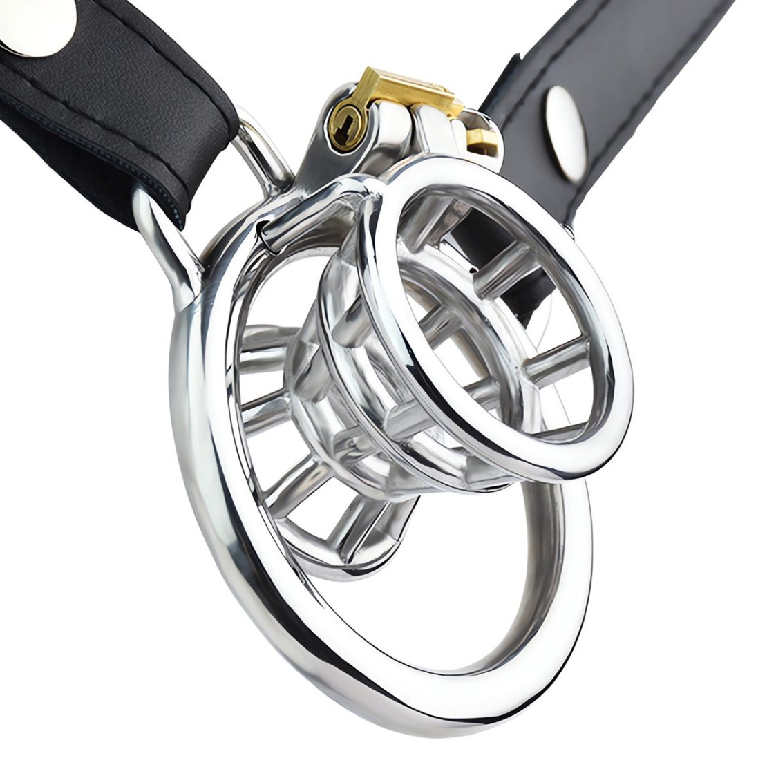CINTURA