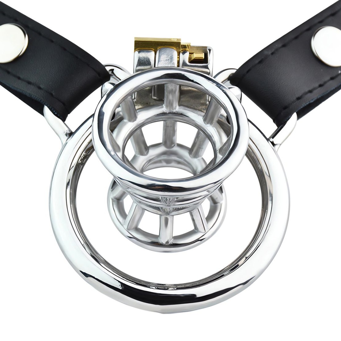 CINTURA