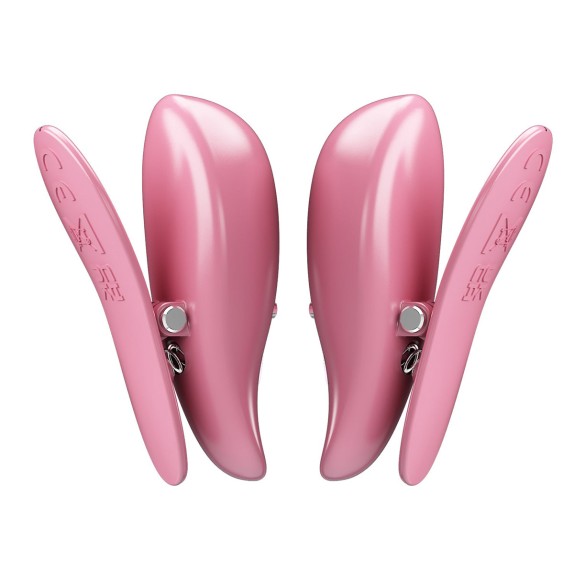 PINZE PER CAPEZZOLI VIBRANTI WIRELESS USB CAYLEY PRETTY LOVE