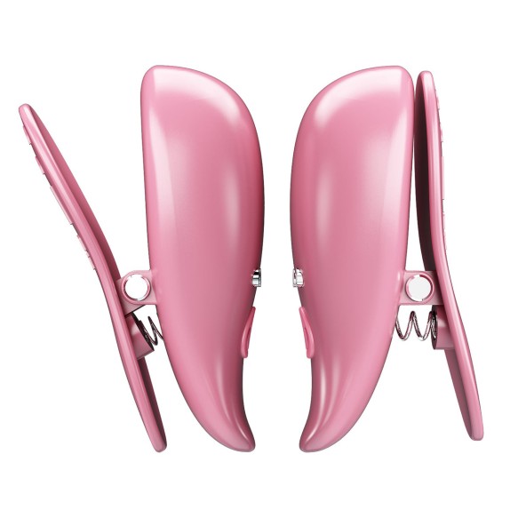 PINZE PER CAPEZZOLI VIBRANTI WIRELESS USB CAYLEY PRETTY LOVE