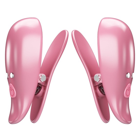PINZE PER CAPEZZOLI VIBRANTI WIRELESS USB CAYLEY PRETTY LOVE