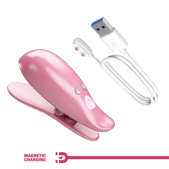 PINZE PER CAPEZZOLI VIBRANTI WIRELESS USB CAYLEY PRETTY LOVE