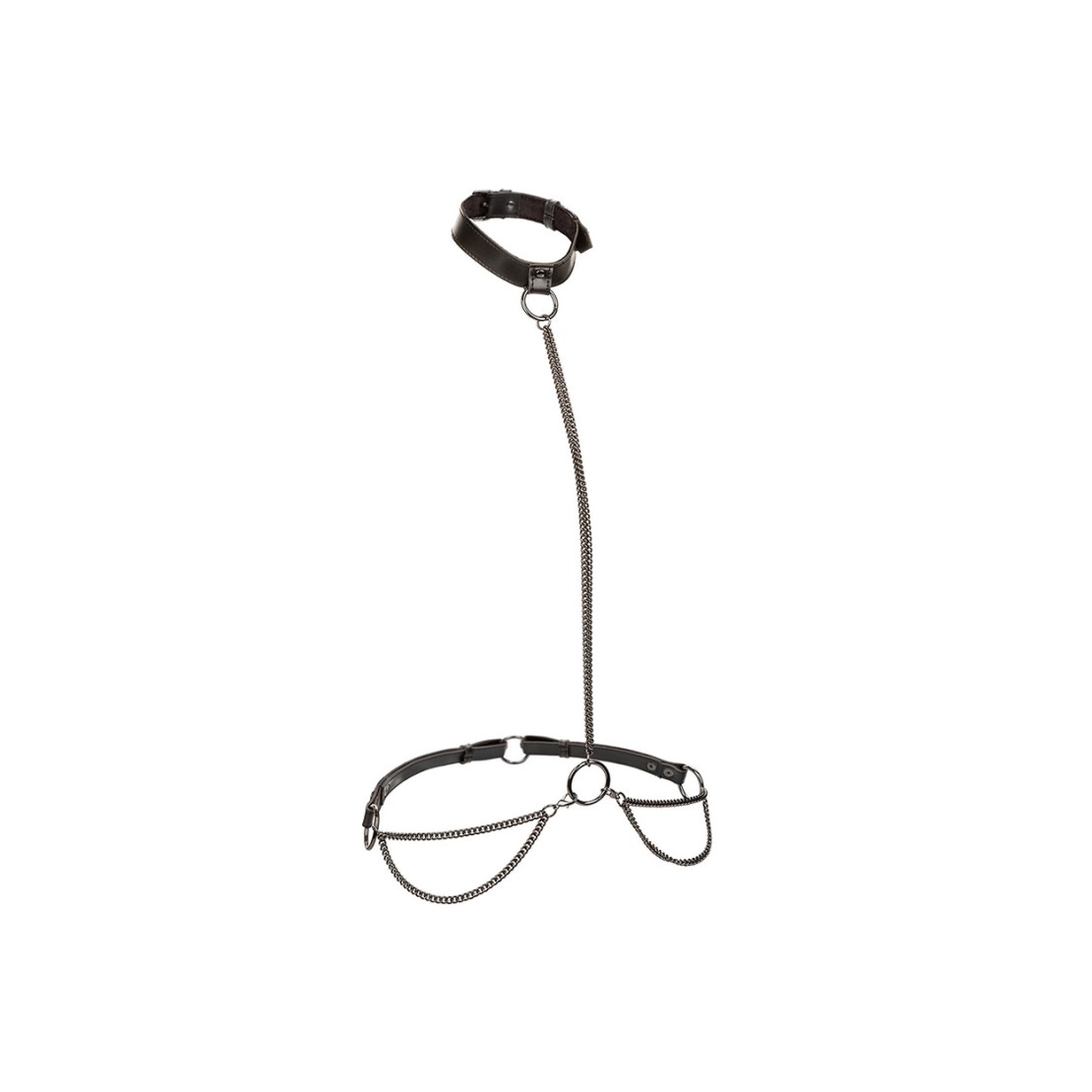HARNESS & COLLARE GUINZAGLIO ACCESSORIO 2 IN 1...