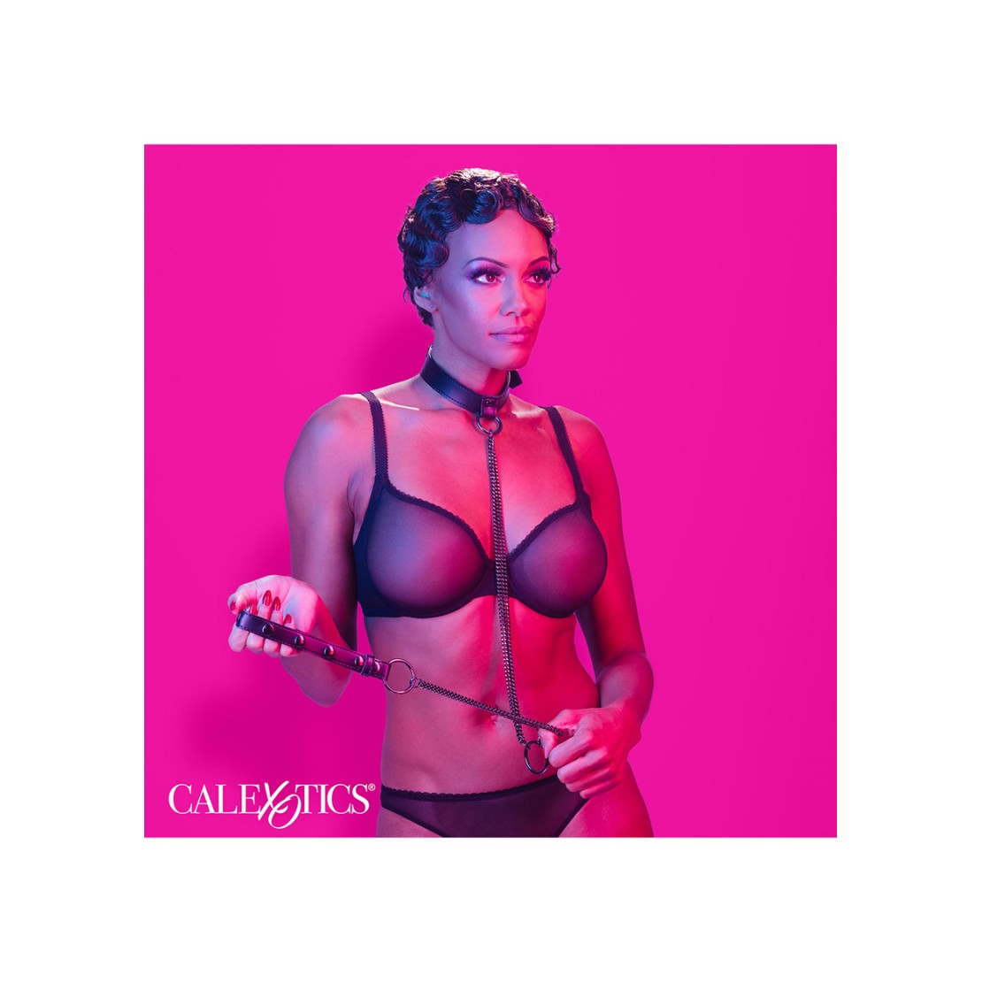 HARNESS & COLLARE GUINZAGLIO ACCESSORIO 2 IN 1...