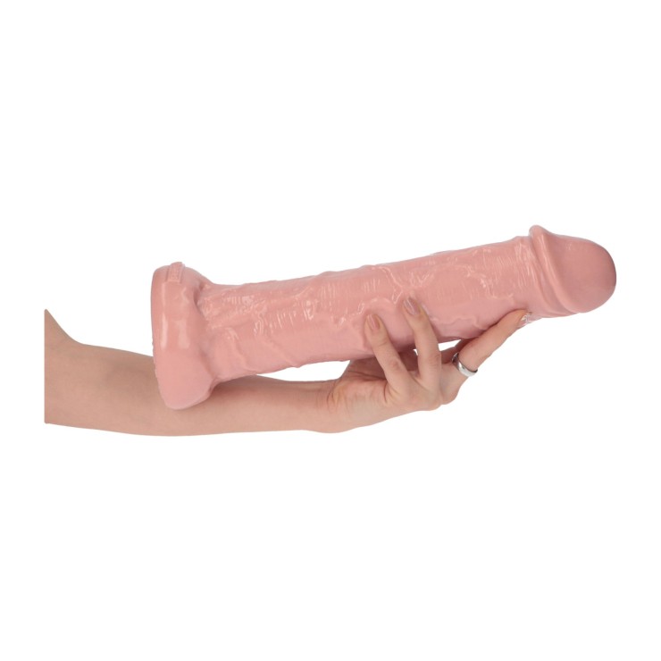 FALLO DI GRANDI DIMENSIONI CARNE IN PVC CON VENATURE... 2