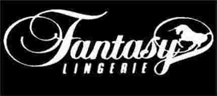 Fantasy Lingerie